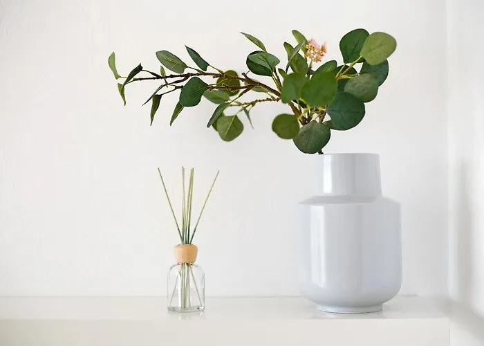 Bahia Vista קוסטה קלמה