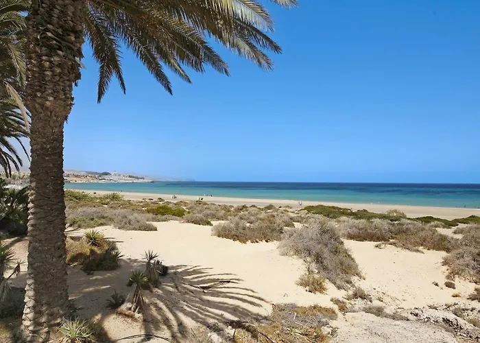 Bahia Vista * קוסטה קלמה